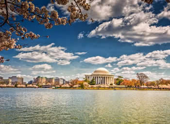 sugar momma in Washington, Washington sugar momma, Washington sugar mommy